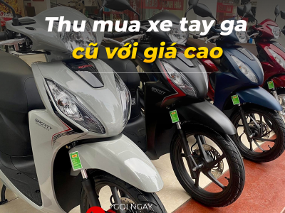 Thu mua xe tay ga cũ giá cao